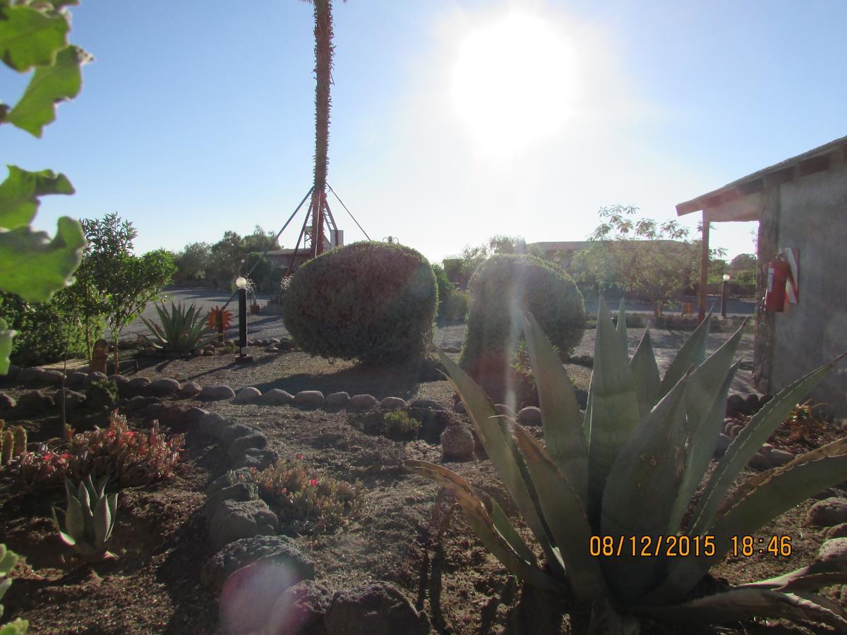 Cabanas Hara - Kara Villa Calama Bagian luar foto